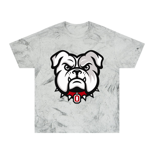 Color Blast School Spirit Tee