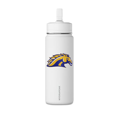 Mini Water Bottle, 20oz