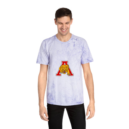 Color Blast School Spirit Tee