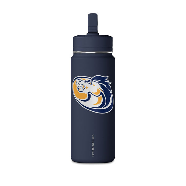 Mini Water Bottle, 20oz
