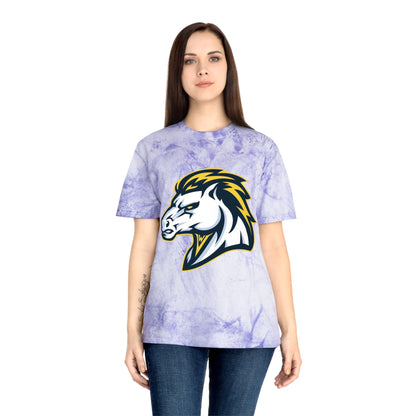 Color Blast School Spirit Tee