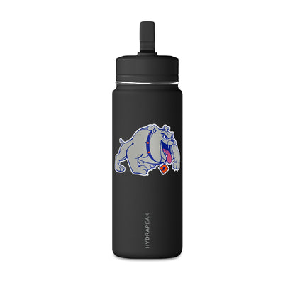 Mini Water Bottle, 20oz