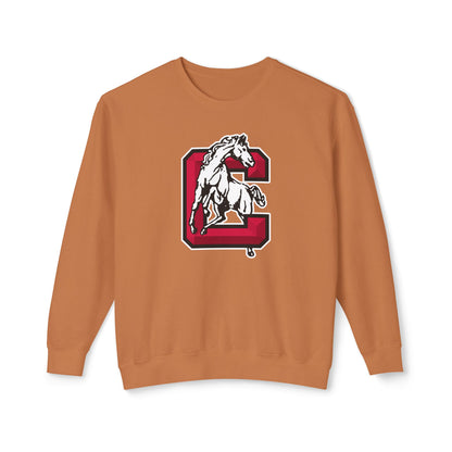 Lightweight Crewneck Sweatshirt