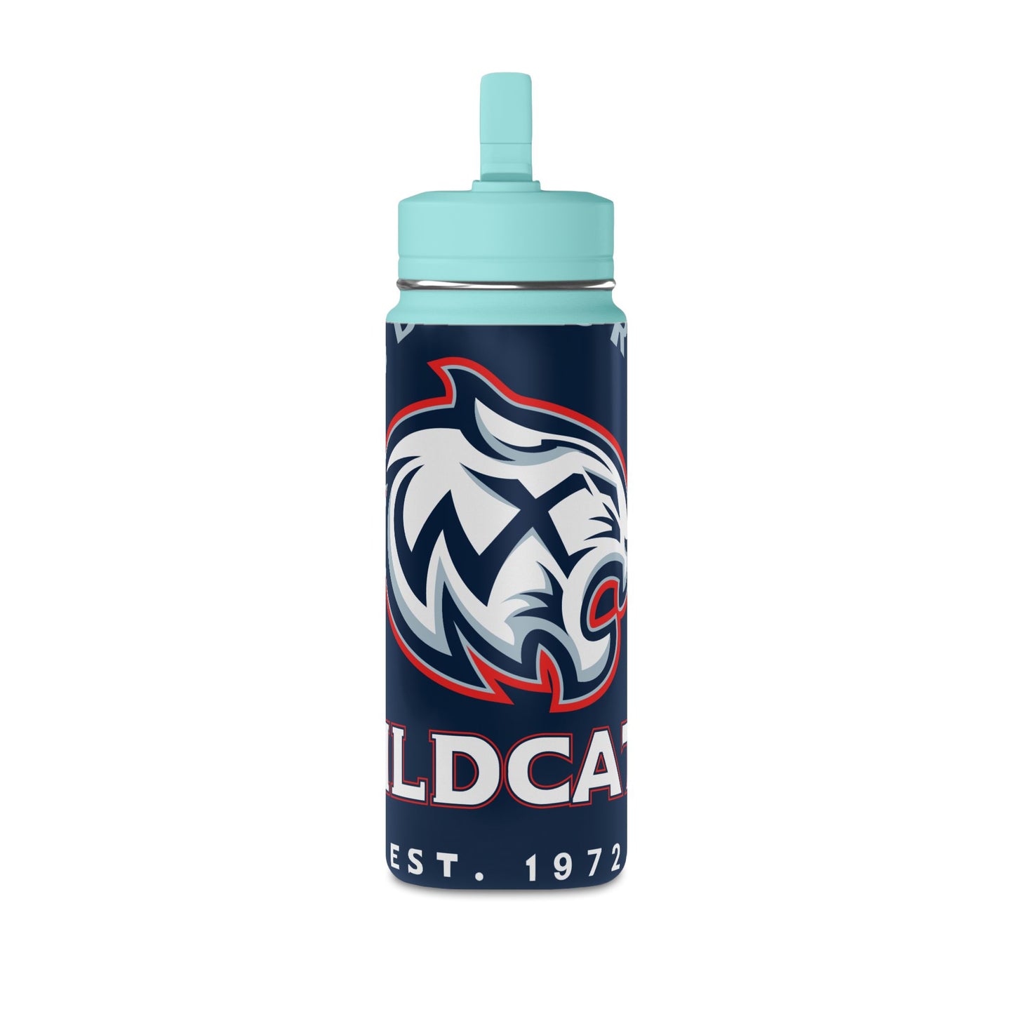 Mini Water Bottle, 20oz