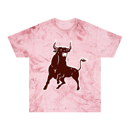 Color Blast School Spirit Tee