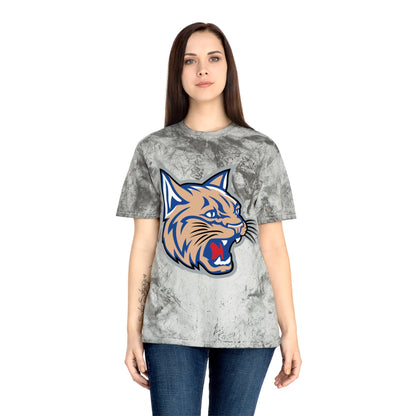 Color Blast School Spirit Tee