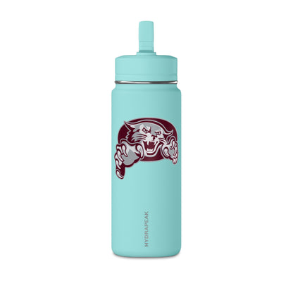 Mini Water Bottle, 20oz