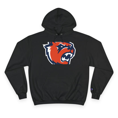 Champion Powerblend Fleece Pullover Hoodie