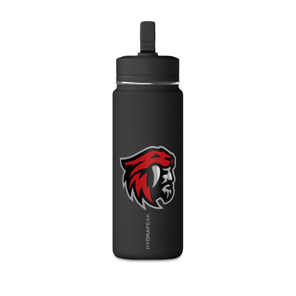 Mini Water Bottle, 20oz