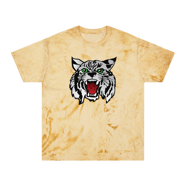 Color Blast School Spirit Tee