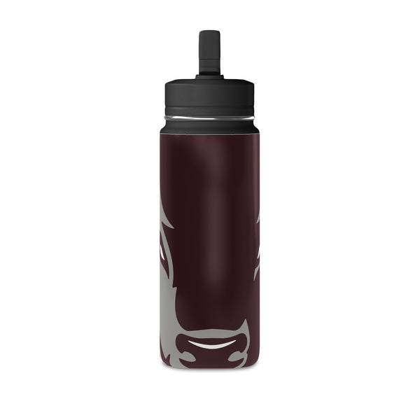 Mini Water Bottle, 20oz