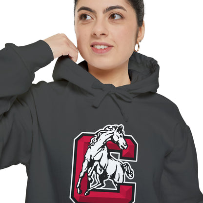 Heavyweight Garment-Dyed Hoodie