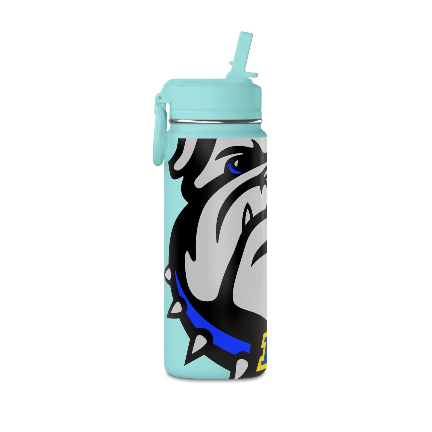 Mini Water Bottle, 20oz