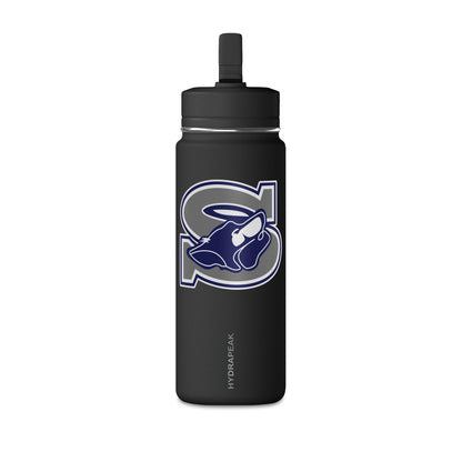 Mini Water Bottle, 20oz