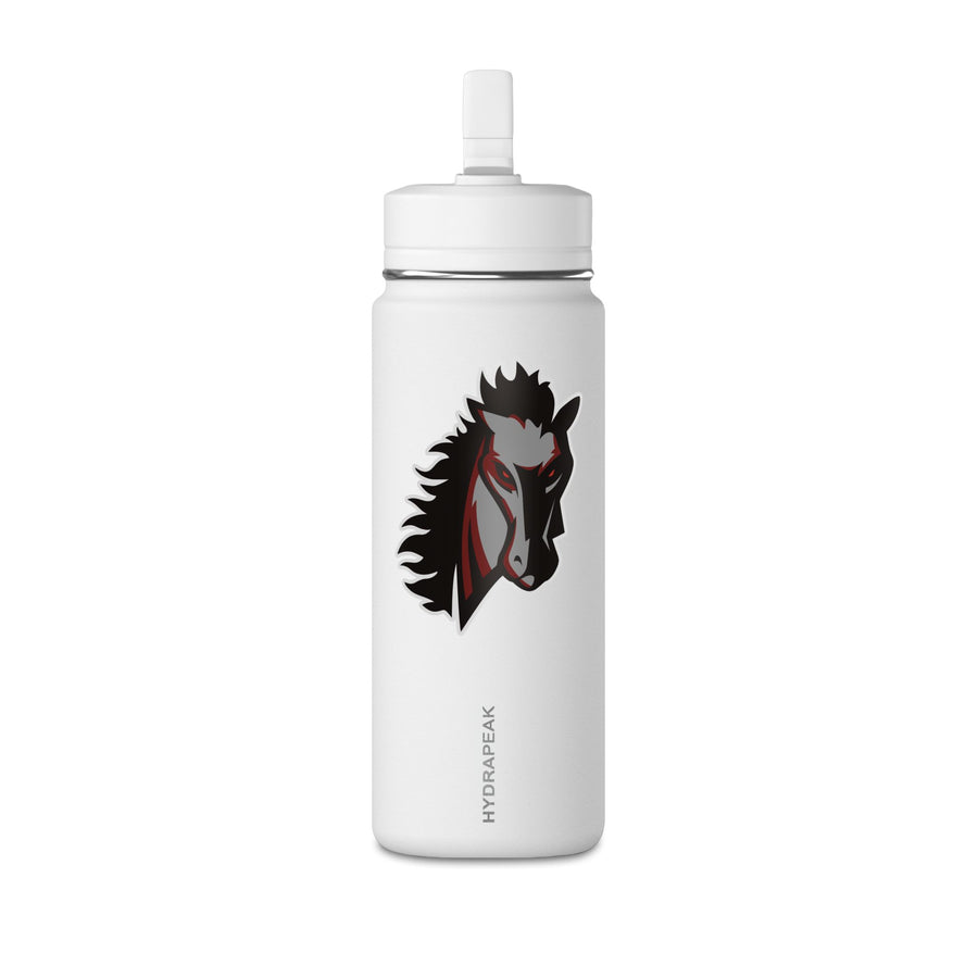 Mini Water Bottle, 20oz