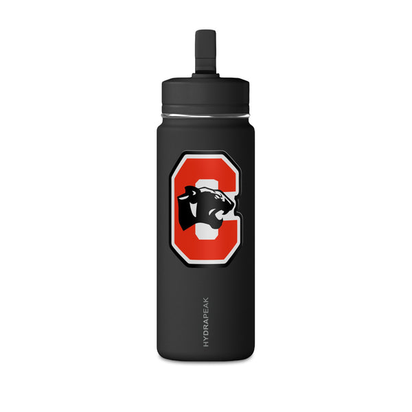 Mini Water Bottle, 20oz