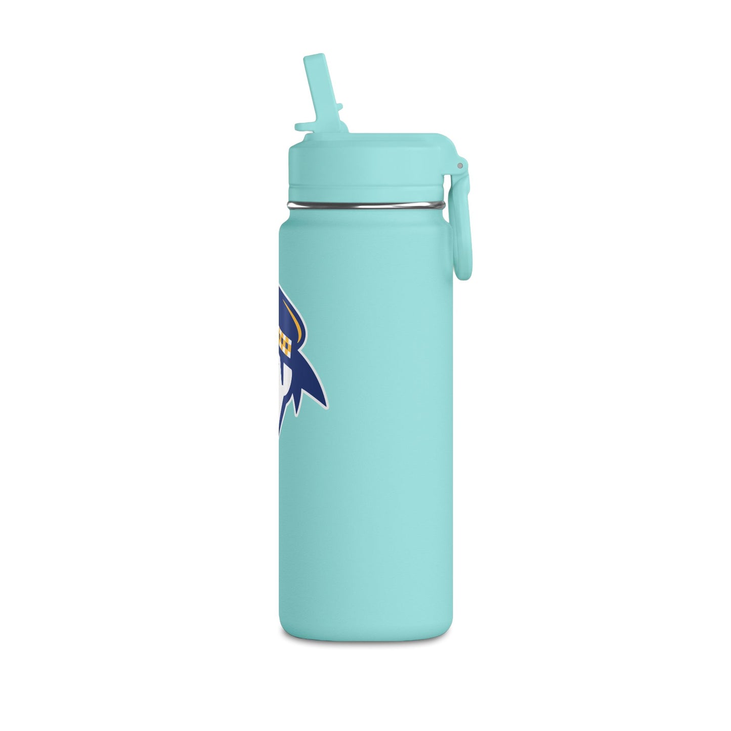 Mini Water Bottle, 20oz
