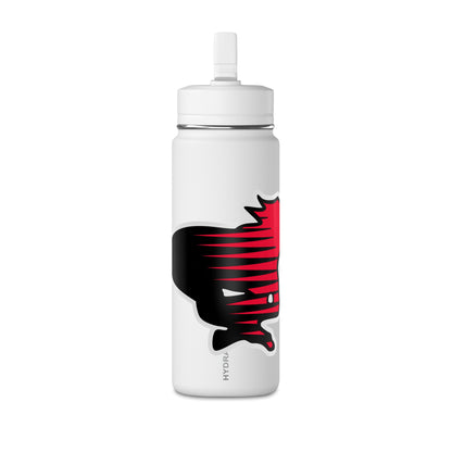 Mini Water Bottle, 20oz