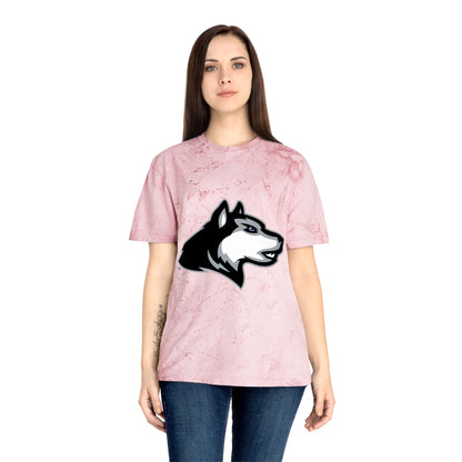Color Blast School Spirit Tee
