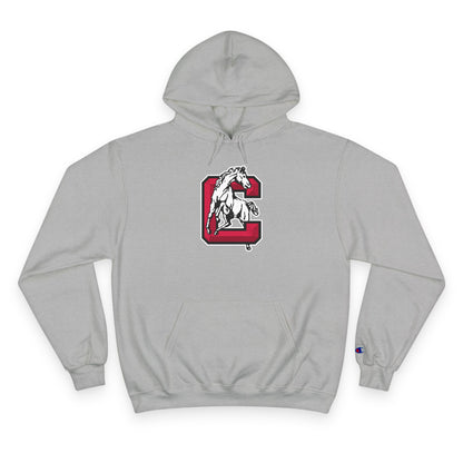 Champion Powerblend Fleece Pullover Hoodie