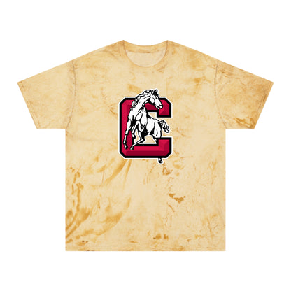 Color Blast School Spirit Tee
