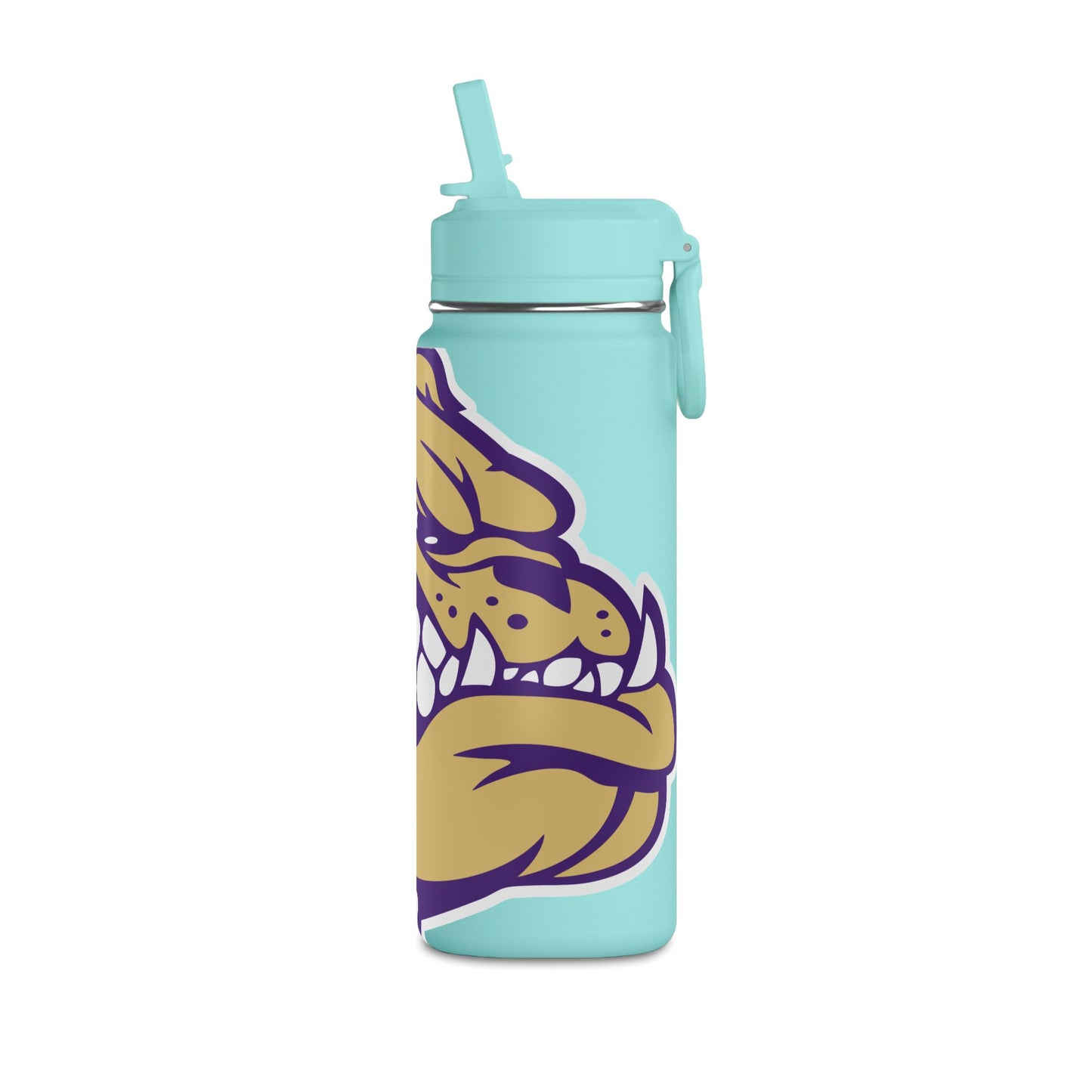 Mini Water Bottle, 20oz
