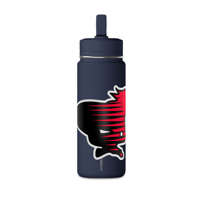 Mini Water Bottle, 20oz