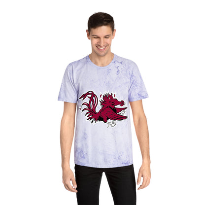 Color Blast School Spirit Tee