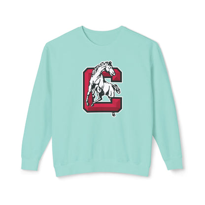 Lightweight Crewneck Sweatshirt