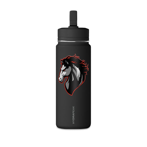 Mini Water Bottle, 20oz