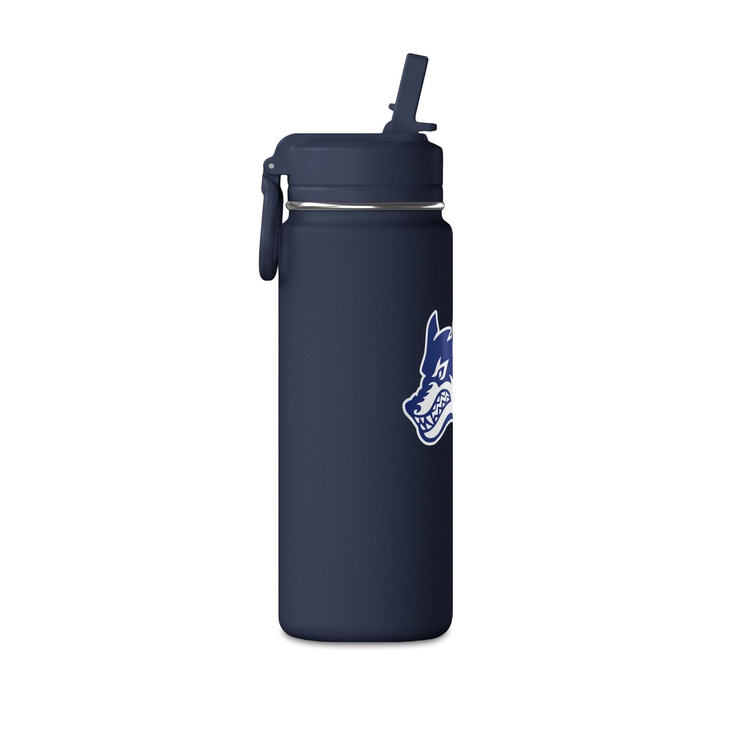 Mini Water Bottle, 20oz