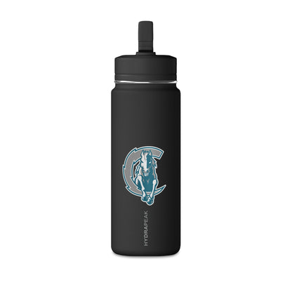 Mini Water Bottle, 20oz