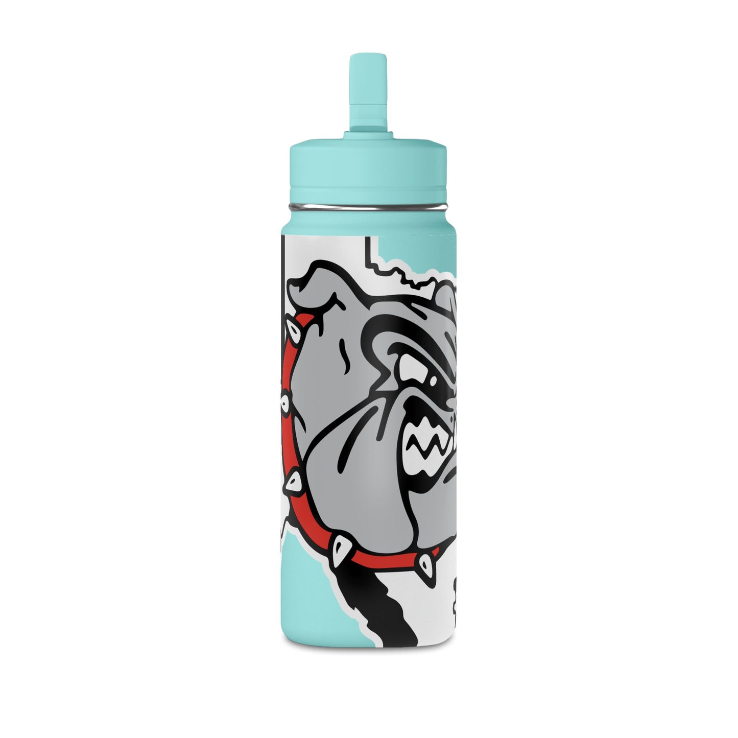 Mini Water Bottle, 20oz
