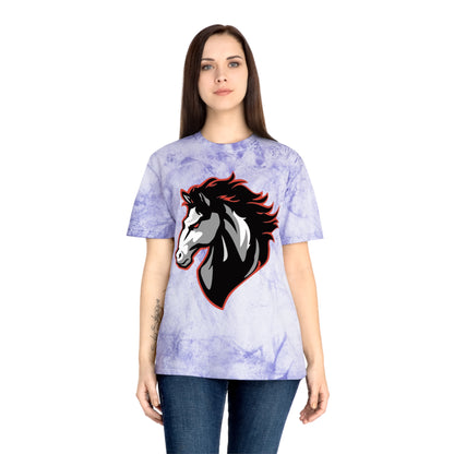 Color Blast School Spirit Tee