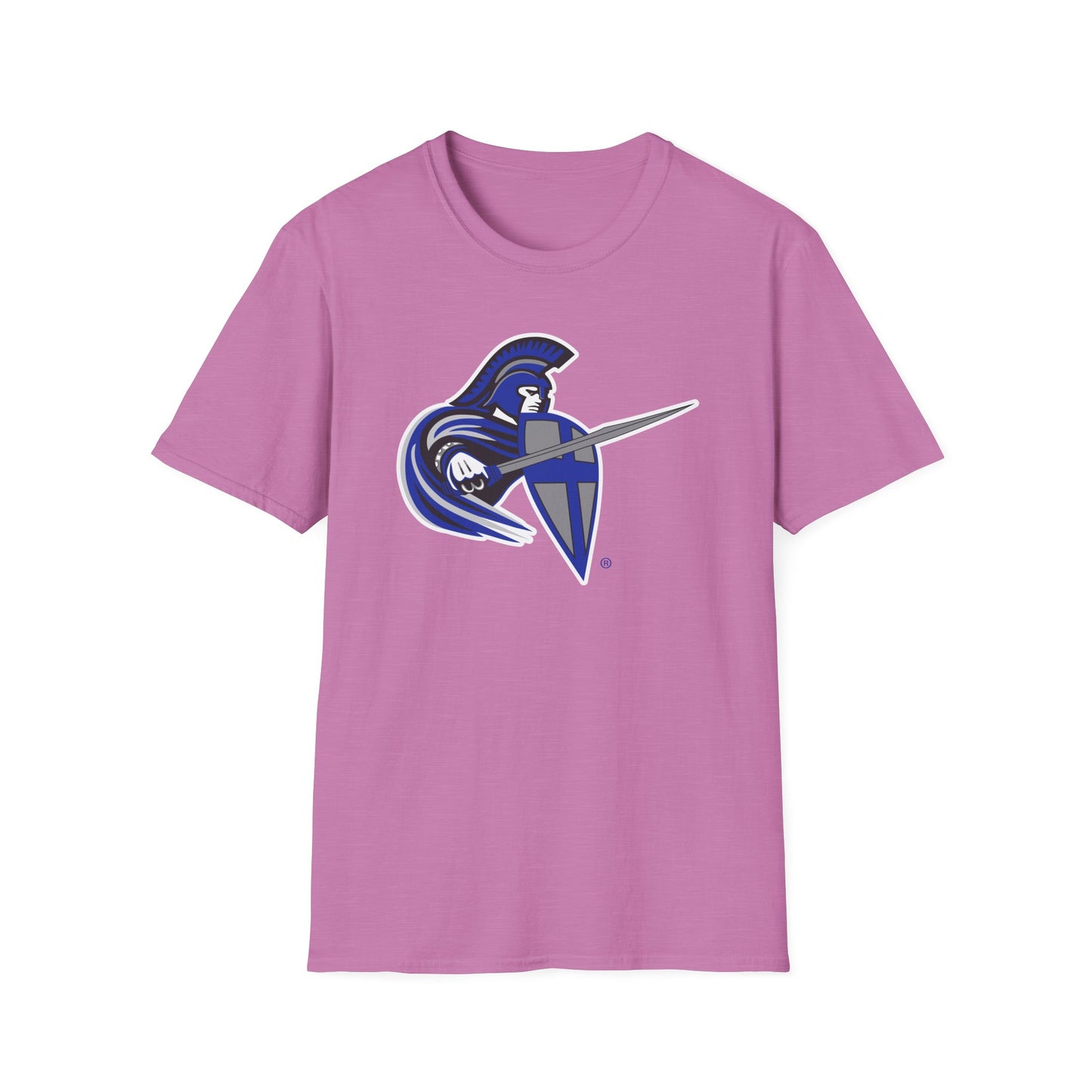 Softstyle T-Shirt