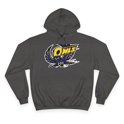 Champion Powerblend Fleece Pullover Hoodie