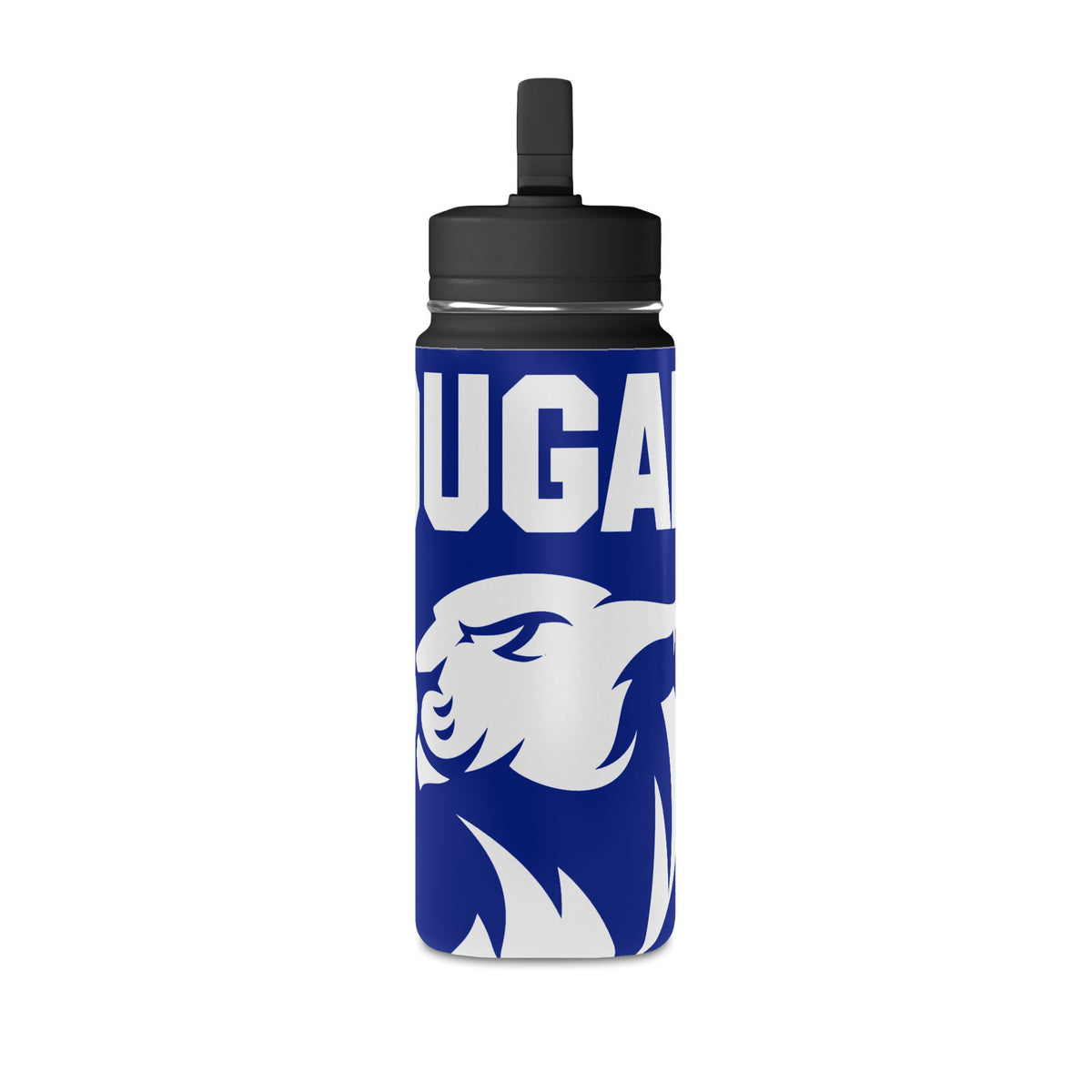 Mini Water Bottle, 20oz