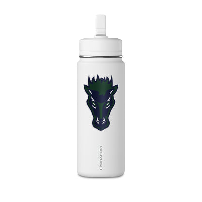 Mini Water Bottle, 20oz