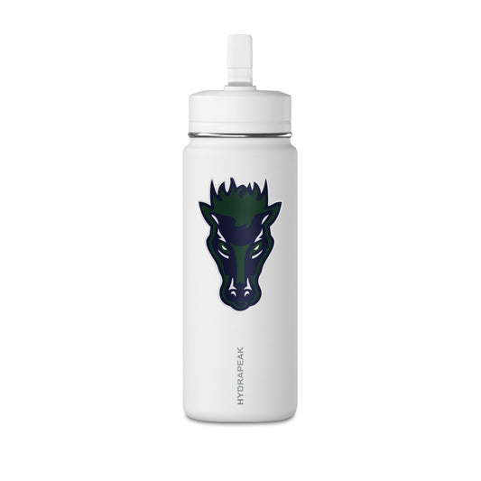 Mini Water Bottle, 20oz
