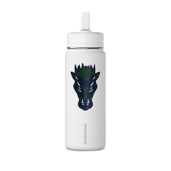Mini Water Bottle, 20oz