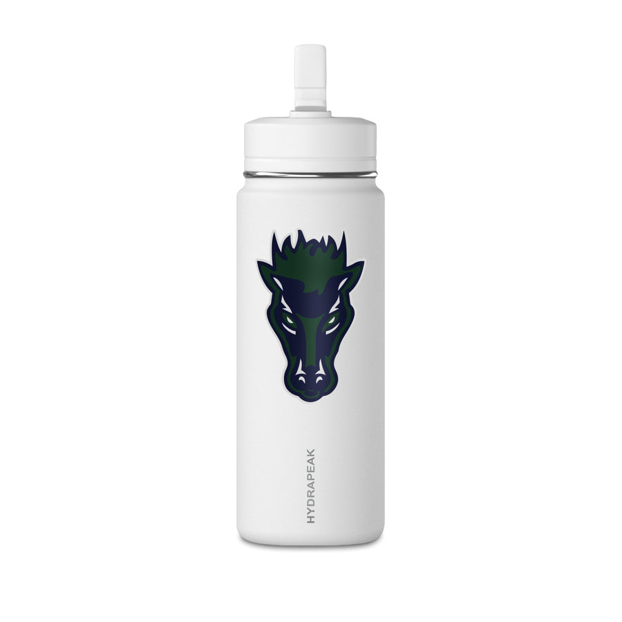 Mini Water Bottle, 20oz
