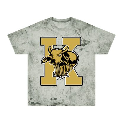 Color Blast School Spirit Tee