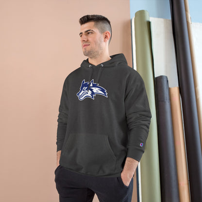 Champion Powerblend Fleece Pullover Hoodie