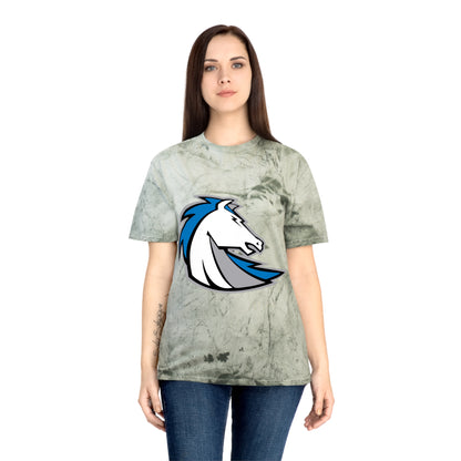 Color Blast School Spirit Tee