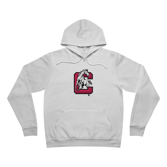 Sponge Fleece Pullover Hoodie