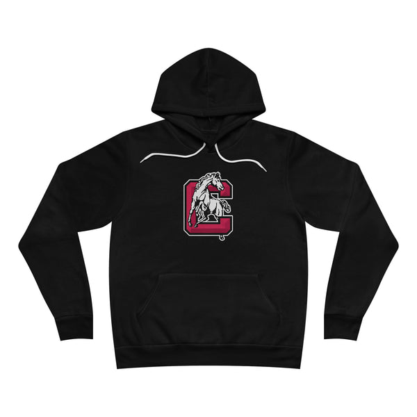Sponge Fleece Pullover Hoodie