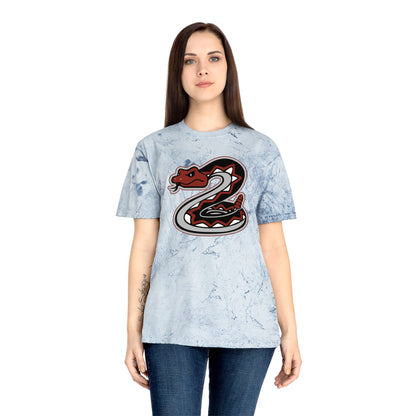 Color Blast School Spirit Tee