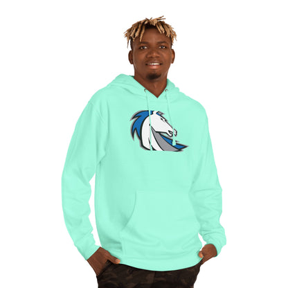 Midweight Pullover Hoodie