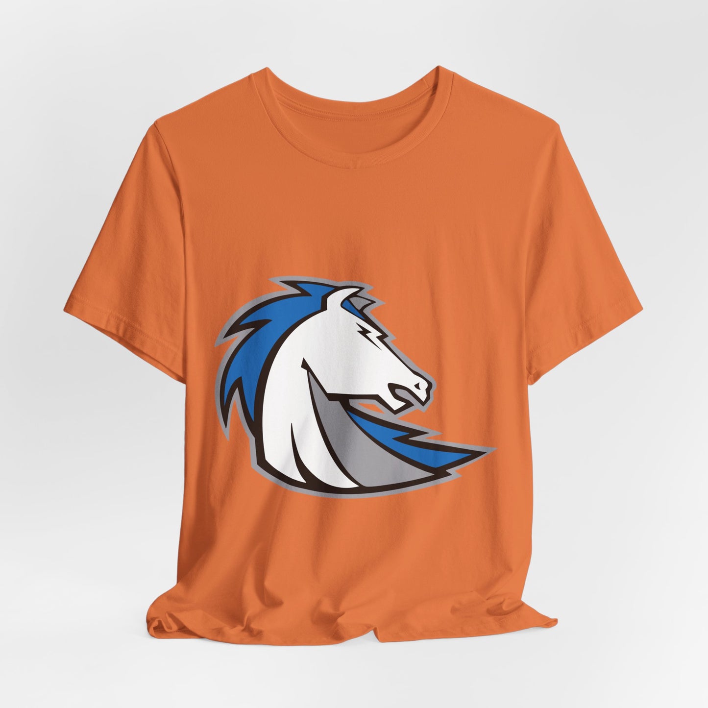 Jersey Short Sleeve Tee