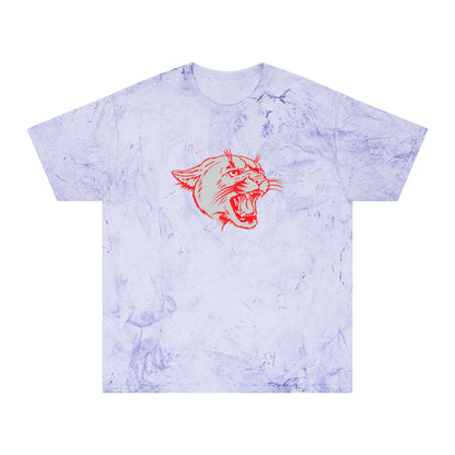 Color Blast School Spirit Tee